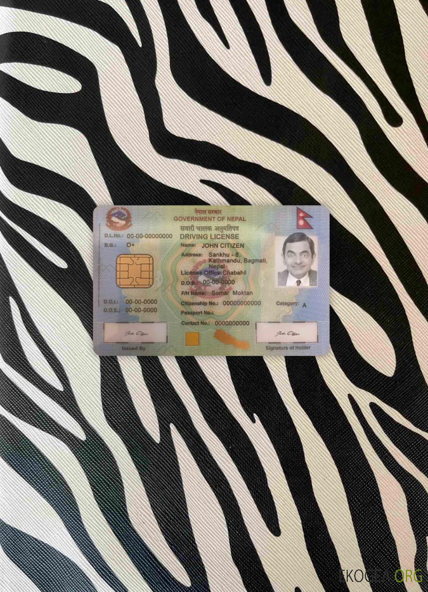 Permis de conduire népalais version 2 photolook AVANT